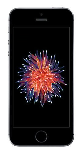 Περισσότερες πληροφορίες για "Apple iPhone SE (2016) (Γκρι)"