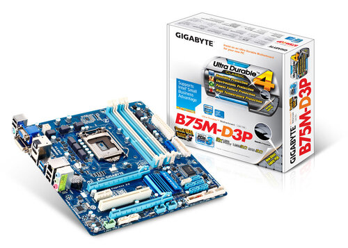 Περισσότερες πληροφορίες για "Gigabyte GA-B75M-D3P"