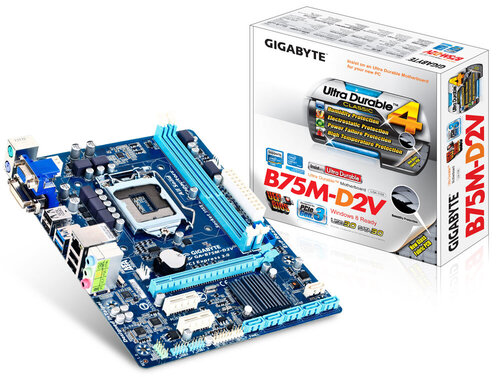 Περισσότερες πληροφορίες για "Gigabyte GA-B75M-D2V"