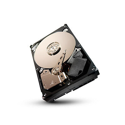 Περισσότερες πληροφορίες για "Seagate SV35 Series ST1000VX000-25PK"