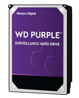 Περισσότερες πληροφορίες για "Western Digital Purple Surveillance"