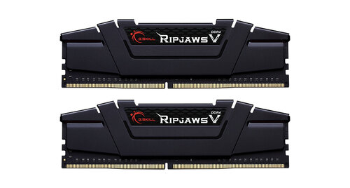 Περισσότερες πληροφορίες για "G.Skill Ripjaws V F4-4000C17D-16GVKB (16 GB/DDR4/4000MHz)"