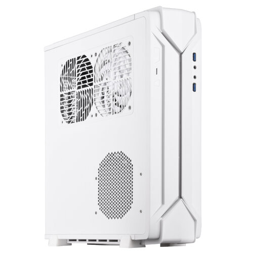 Περισσότερες πληροφορίες για "Silverstone RVZ03-ARGB (Επιφάνεια Εργασίας/Άσπρο)"