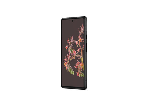Περισσότερες πληροφορίες για "Google Pixel 6 (Μαύρο/128 GB)"