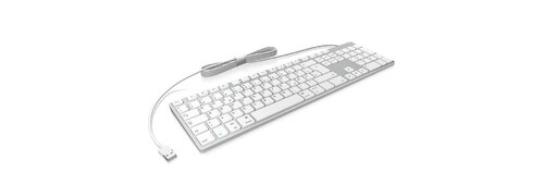 Περισσότερες πληροφορίες για "KeySonic KSK-8022MacU (Άσπρο/USB)"