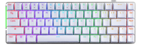 Περισσότερες πληροφορίες για "ASUS ROG Falchion Ace (Άσπρο/USB/RGB LED)"