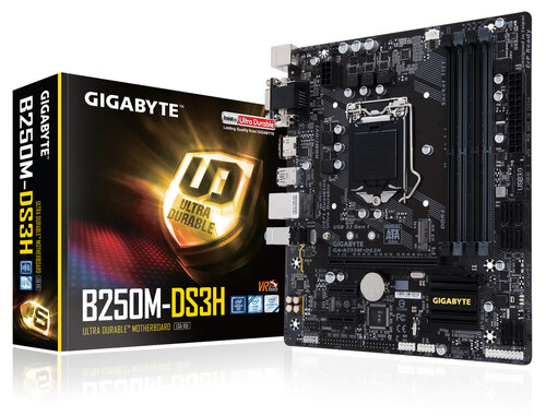 Περισσότερες πληροφορίες για "Gigabyte GA-B250M-DS3H (rev. 1.0)"