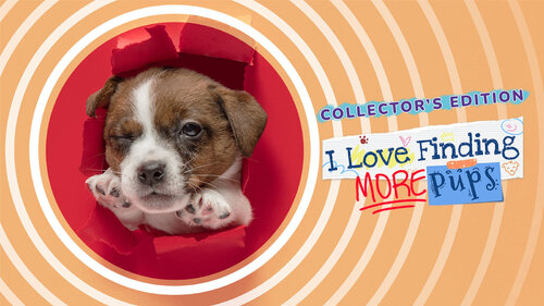 Περισσότερες πληροφορίες για "Nintendo I Love Finding MORE Pups - Collector's Edition (Nintendo Switch)"