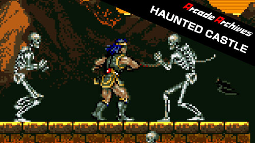 Περισσότερες πληροφορίες για "Nintendo Arcade Archives HAUNTED CASTLE (Nintendo Switch)"