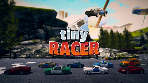 Περισσότερες πληροφορίες για "Nintendo Tiny Racer (Nintendo Switch)"