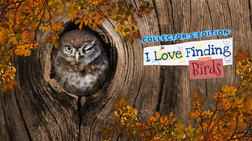 Περισσότερες πληροφορίες για "Nintendo I Love Finding Birds Collector's Edition (Nintendo Switch)"