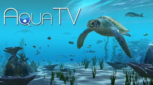 Περισσότερες πληροφορίες για "Nintendo Aqua TV (Nintendo Switch)"