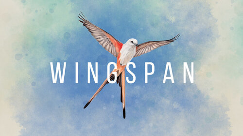 Περισσότερες πληροφορίες για "Nintendo WINGSPAN (Nintendo Switch)"
