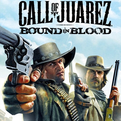 Περισσότερες πληροφορίες για "Ubisoft Call of Juarez : Bound in Blood (PC)"
