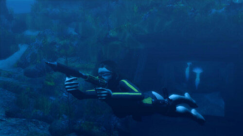 Περισσότερες πληροφορίες για "Square Enix Tomb Raider Collection : Legend + Anniversary Underworld (PC)"