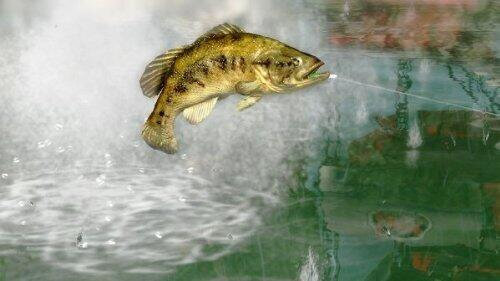 Περισσότερες πληροφορίες για "Rapala Pro Bass Fishing 10 (PlayStation 3)"