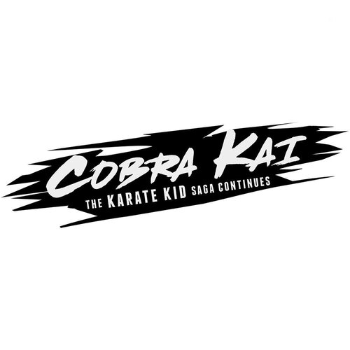 Περισσότερες πληροφορίες για "Maximum Games Cobra Kai : The Karate Kid Saga Continues (Nintendo Switch)"