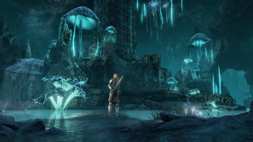 Περισσότερες πληροφορίες για "Bethesda The Elder Scrolls Online : Greymoor - Collector's Edition (PC)"