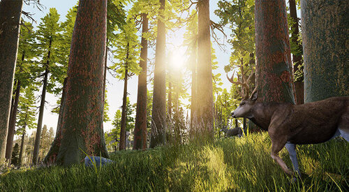 Περισσότερες πληροφορίες για "Hunting Simulator (Xbox One)"