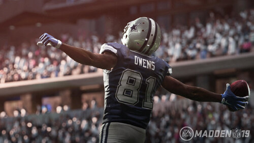Περισσότερες πληροφορίες για "Electronic Arts Madden NFL 19 (PC)"