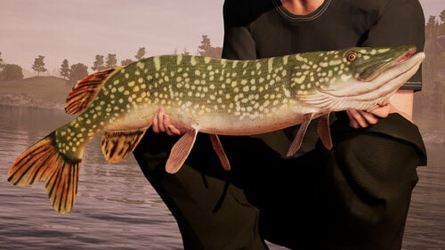 Περισσότερες πληροφορίες για "Maximum Games Fishing Sim World (PC)"