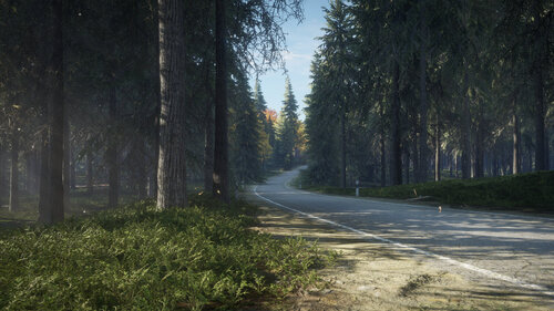 Περισσότερες πληροφορίες για "theHunter : Call of The Wild (PlayStation 4)"