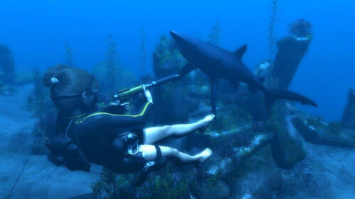 Περισσότερες πληροφορίες για "Tomb Raider Trilogy - Classics HD (PlayStation 3)"