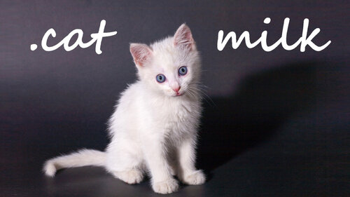 Περισσότερες πληροφορίες για "Nintendo .cat Milk (Nintendo Switch)"