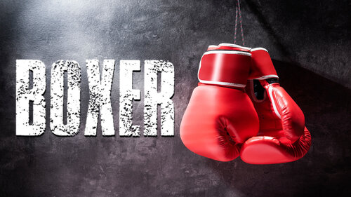 Περισσότερες πληροφορίες για "Nintendo Boxer (Nintendo Switch)"