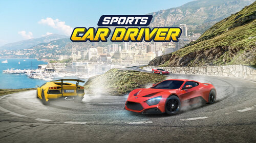 Περισσότερες πληροφορίες για "Nintendo Sports Car Driver (Nintendo Switch)"