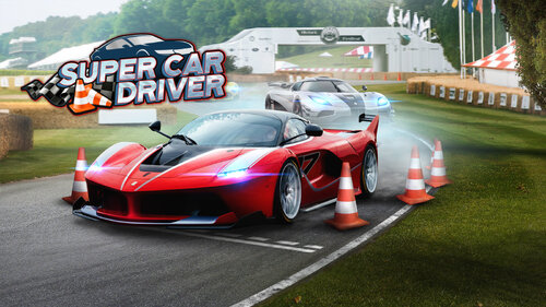 Περισσότερες πληροφορίες για "Nintendo Super Car Driver (Nintendo Switch)"