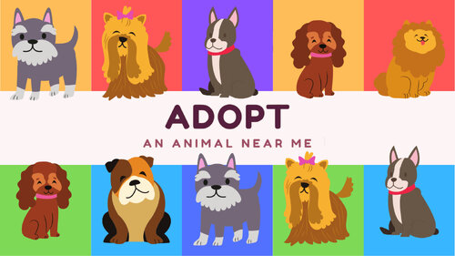 Περισσότερες πληροφορίες για "Nintendo Adopt an Animal Near Me (Nintendo Switch)"