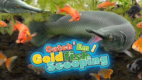 Περισσότερες πληροφορίες για "Nintendo Catch 'Em! Goldfish Scooping (Nintendo Switch)"