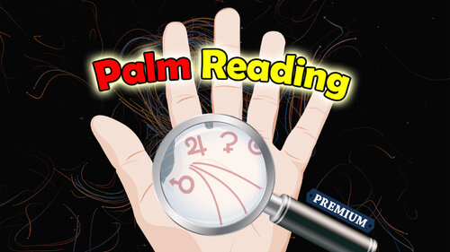 Περισσότερες πληροφορίες για "Nintendo Palm Reading Premium (Nintendo Switch)"