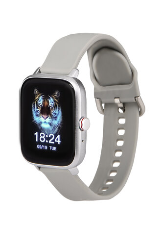 Περισσότερες πληροφορίες για "Preo Pwatch S1 Pro (Xρώμιο)"