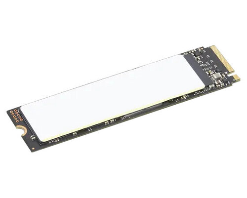 Περισσότερες πληροφορίες για "Lenovo 4XB1M86956 (2 TB GB/PCI Express 4.0)"