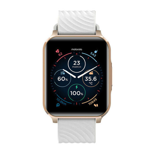 Περισσότερες πληροφορίες για "Motorola Moto Watch 70 (43mm/Ροζ χρυσό/Κράμα ψευδαργύρου)"