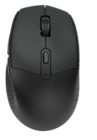 Περισσότερες πληροφορίες για "IOPLEE 312BTR (Μαύρο/RF Wireless + Bluetooth)"