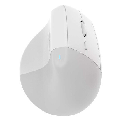Περισσότερες πληροφορίες για "IOPLEE 562BTR (Λευκό/RF Wireless)"