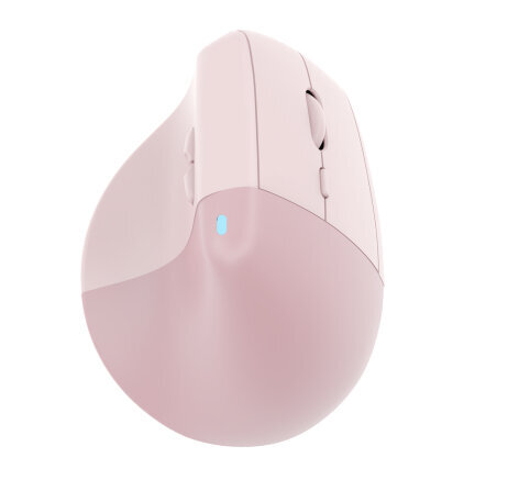Περισσότερες πληροφορίες για "IOPLEE 561BTR (Ροζ/RF Wireless)"