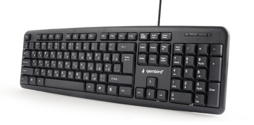 Περισσότερες πληροφορίες για "Gembird KB-UM-101 (Μαύρο/USB)"