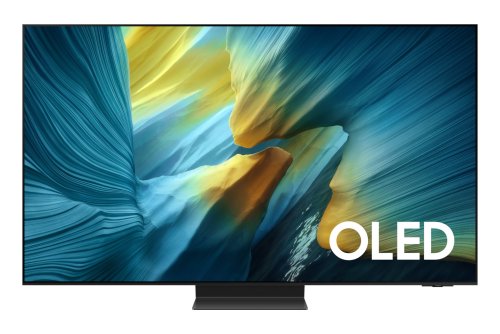Περισσότερες πληροφορίες για "Samsung QE55S95FAT"