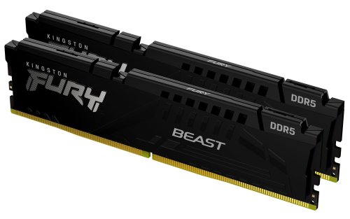 Περισσότερες πληροφορίες για "Kingston Technology FURY Beast (128 GB)"