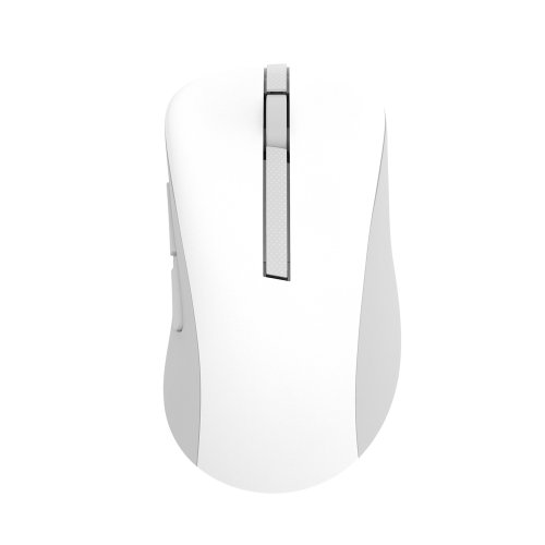 Περισσότερες πληροφορίες για "ASUS Wireless Mouse MD102 (Λευκό/RF Wireless + Bluetooth)"
