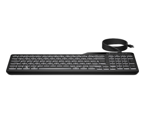Περισσότερες πληροφορίες για "HP 400 WIRED BACKLIT KEYBOARD (Μαύρο/USB)"