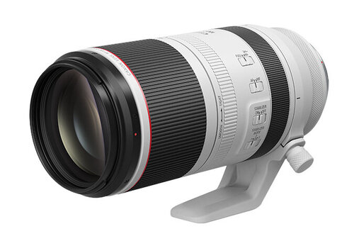 Περισσότερες πληροφορίες για "Canon RF 100-500mm F4.5-7.1 L IS USM"