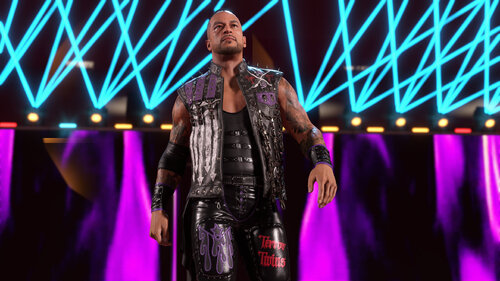 Περισσότερες πληροφορίες για "WWE 25 (PlayStation 4)"
